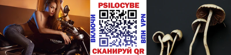 Галлюциногенные грибы Magic Shrooms  Макушино 